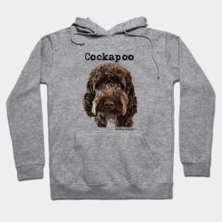 Chocolate Brown  Cockapoo / Spoodle and Doodle Dogs Hoodie